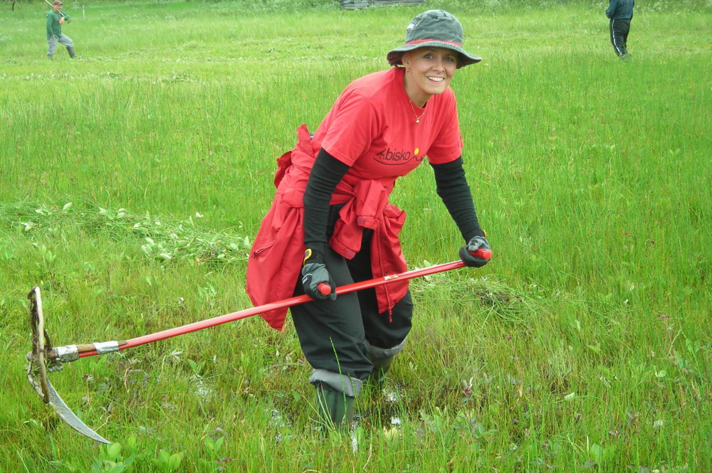 Soutujärvibygden Myrslåtter